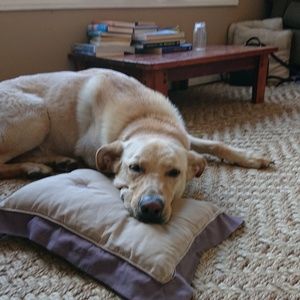 Meet your Posher, Yen